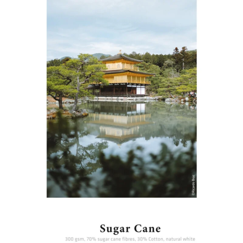 csm 32 Sugar Cane 0f18161c74 - KronalinE - Hahnemühle®