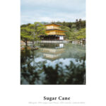sugar-cane-2