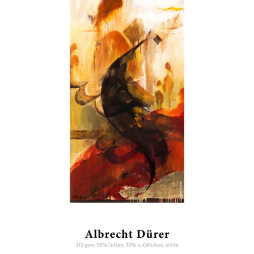 albrecht durer1 - KronalinE - Hahnemühle®